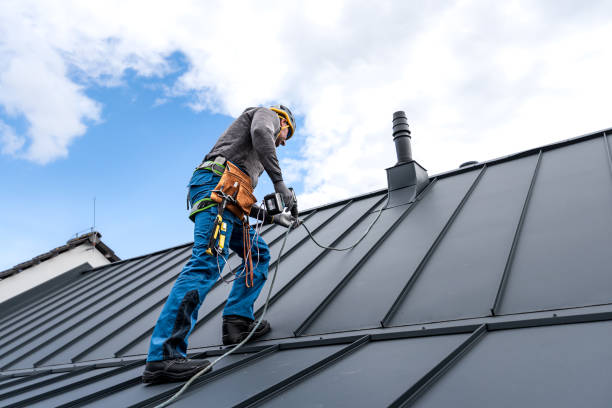 Best Skylight Installation and Repair  in Nanticoke, PA